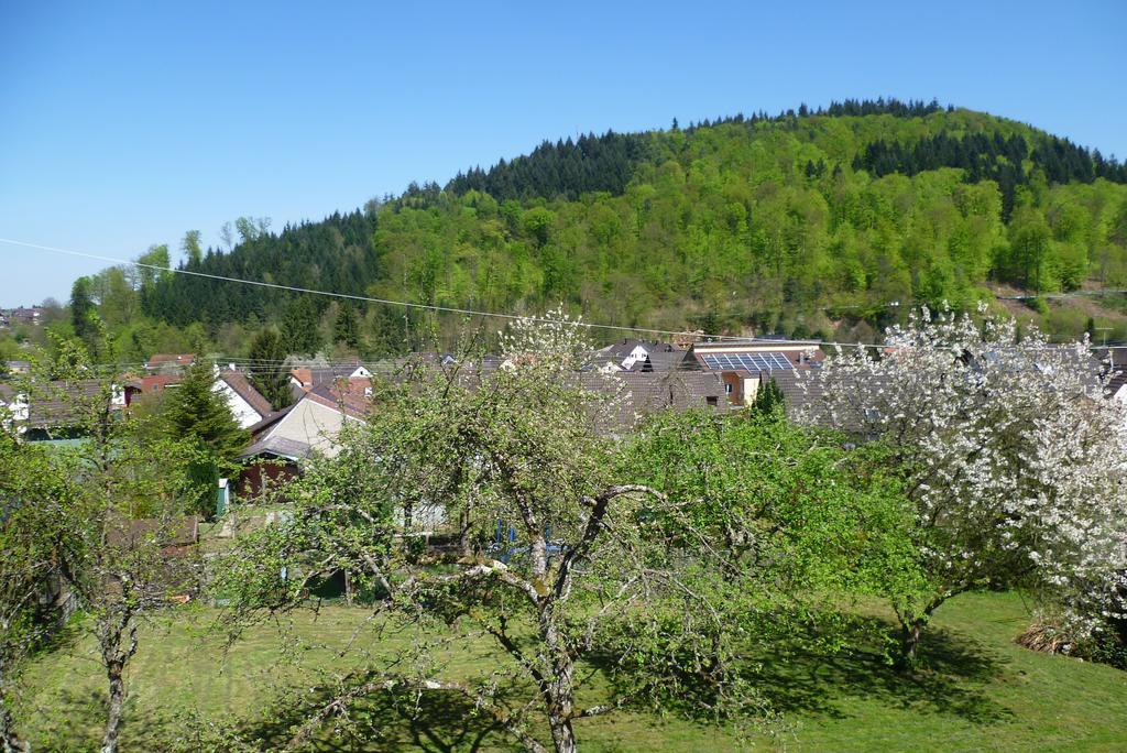 Ferienwohnung Schwarzwald Domizil Uhlsberg Kippenheim Zimmer foto