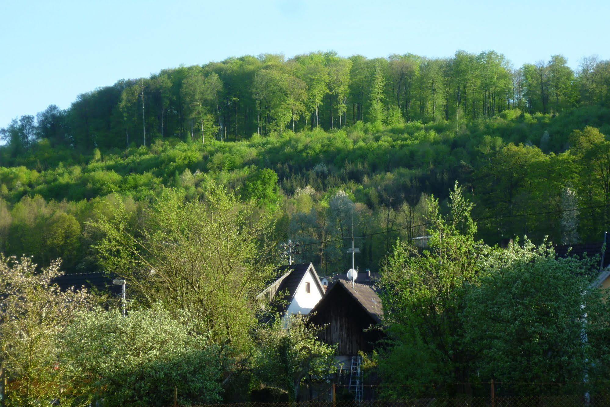 Ferienwohnung Schwarzwald Domizil Uhlsberg Kippenheim Exterior foto